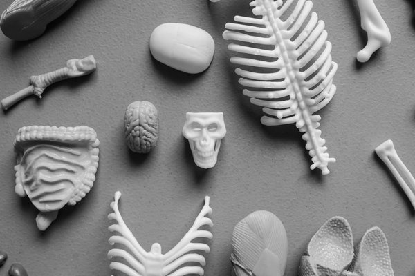 Top Exercise Techniques for Arthritis Relief: UK Residents Guide to Conquering Chronic Pain